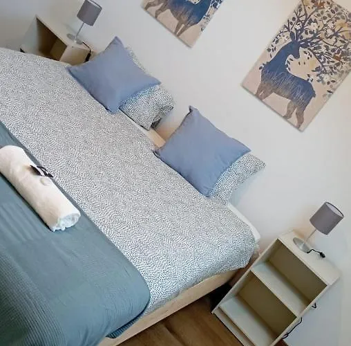 Oriente Dna Ii Daire