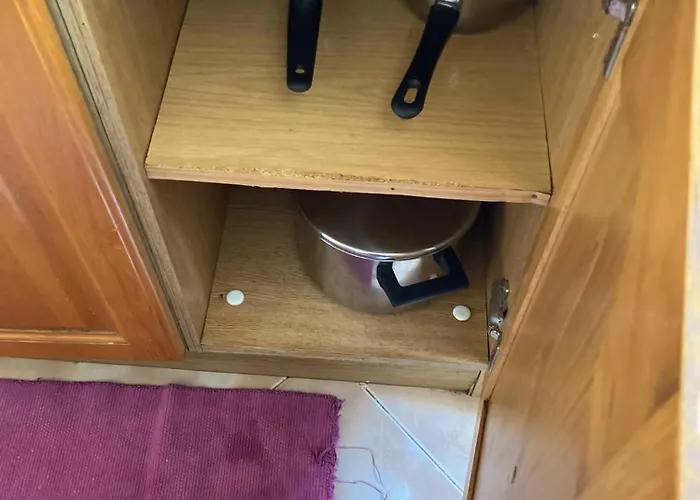 Oriente Dna Ii Daire *