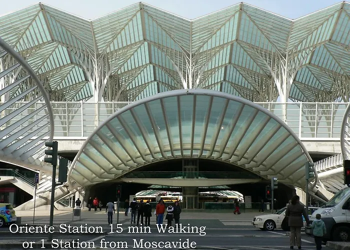 Daire Oriente Dna Ii